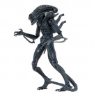 alien blue