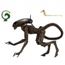neca-alien-3---7-scale-action-figure---ultimate-dog-alien-51597hkrow