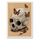 skull-america-postcard-vintage-001