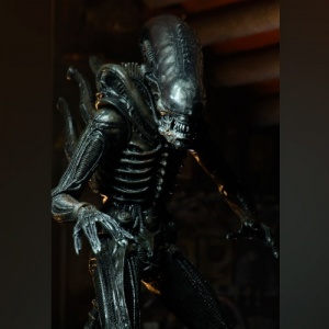 alien-neca-007