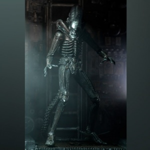 alien-neca-008