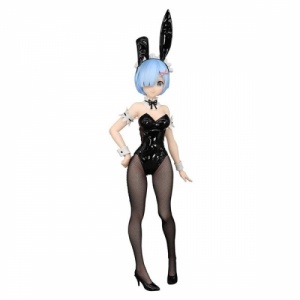 bicute-rem-furyu