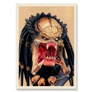 predator-america-postcard-vintage-001